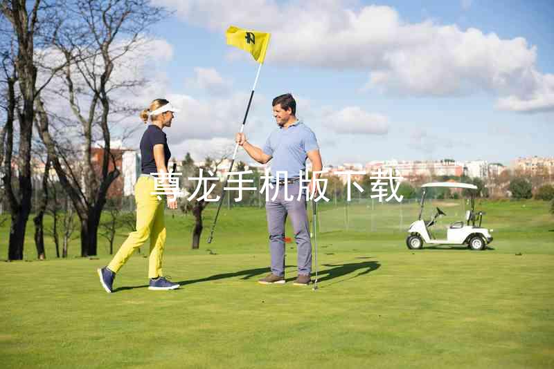 尊龙手机版下载