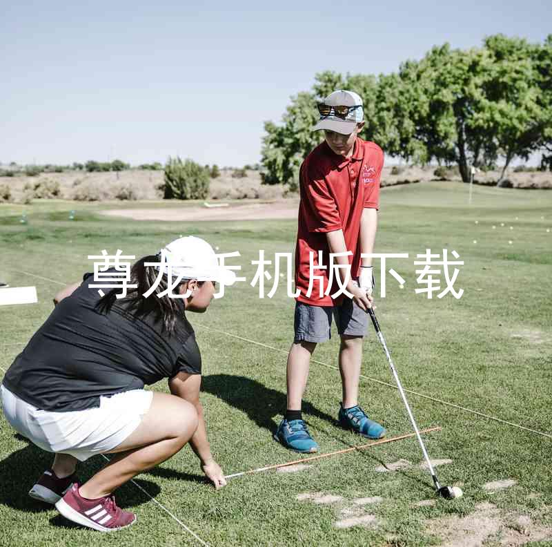 尊龙手机版下载