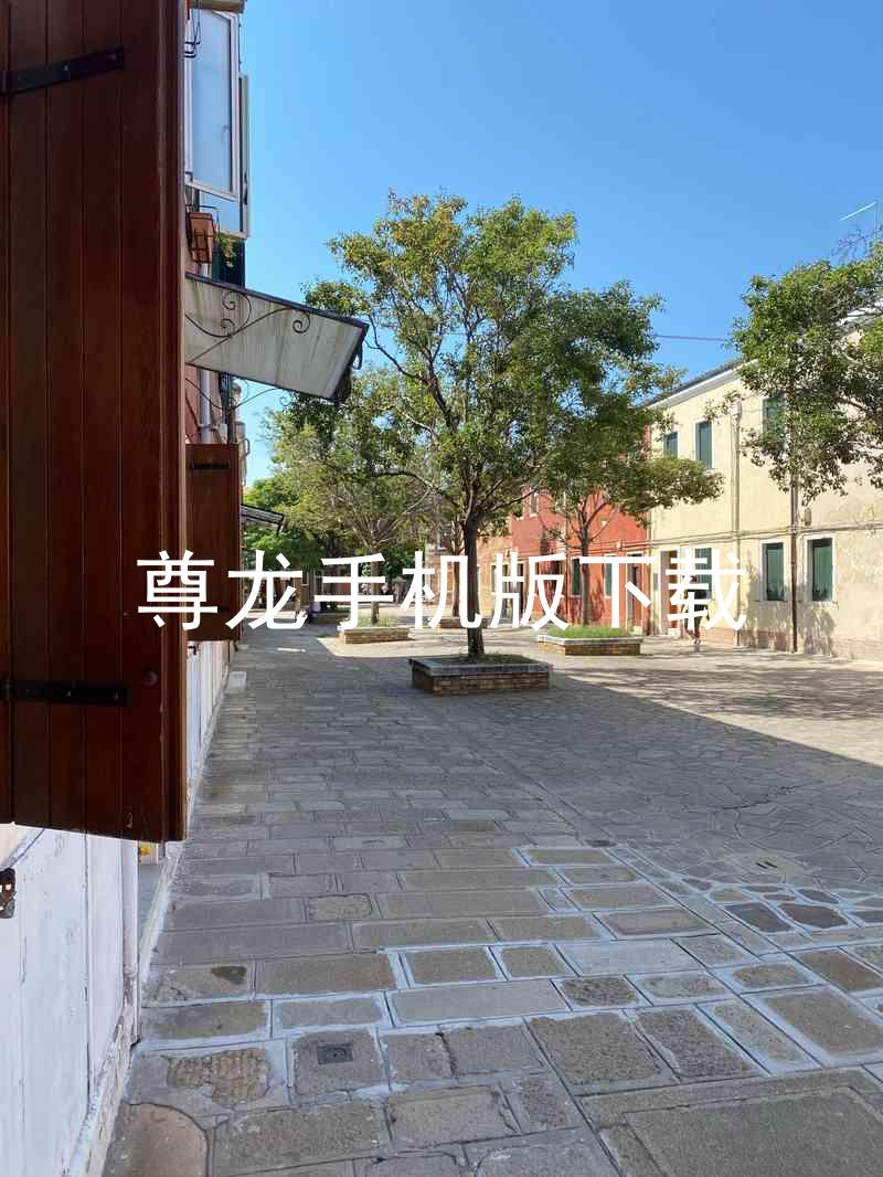 尊龙手机版下载