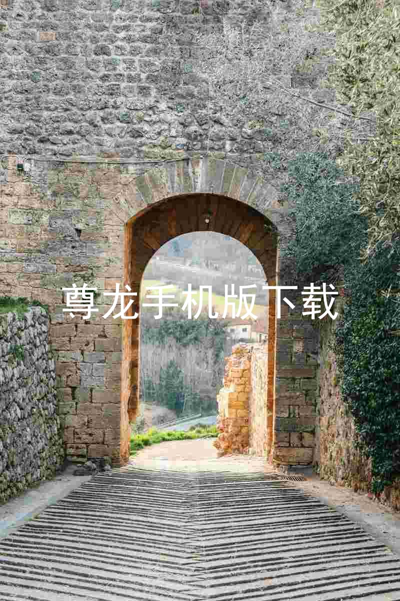 尊龙手机版下载