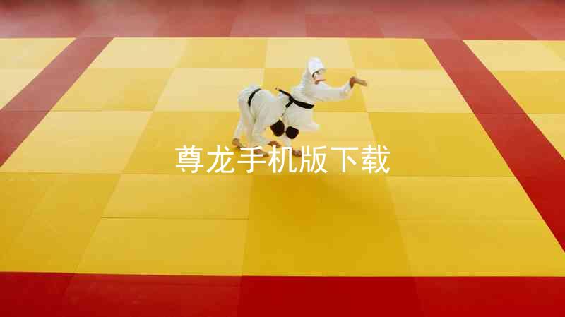 尊龙手机版下载