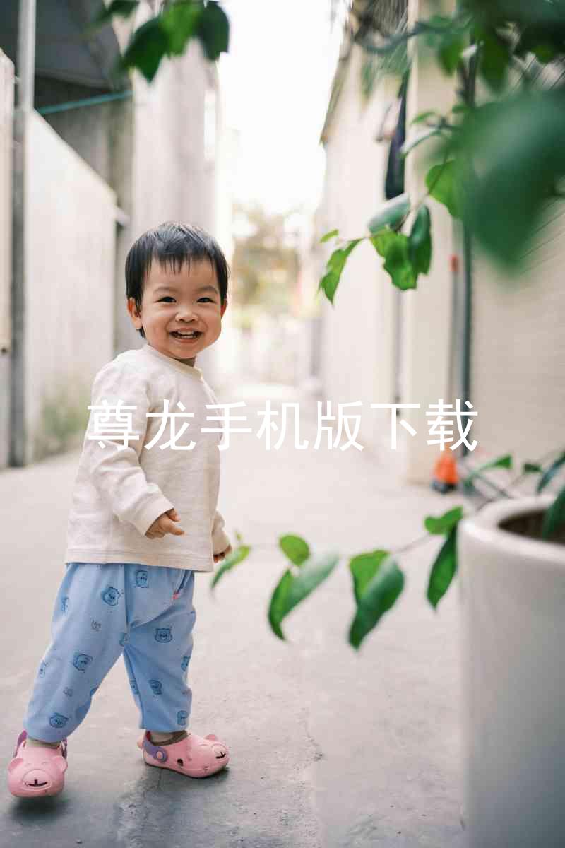 尊龙手机版下载